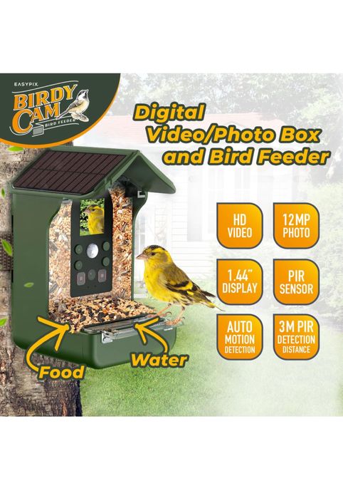 Comedouro para pássaros com câmera e painel solar