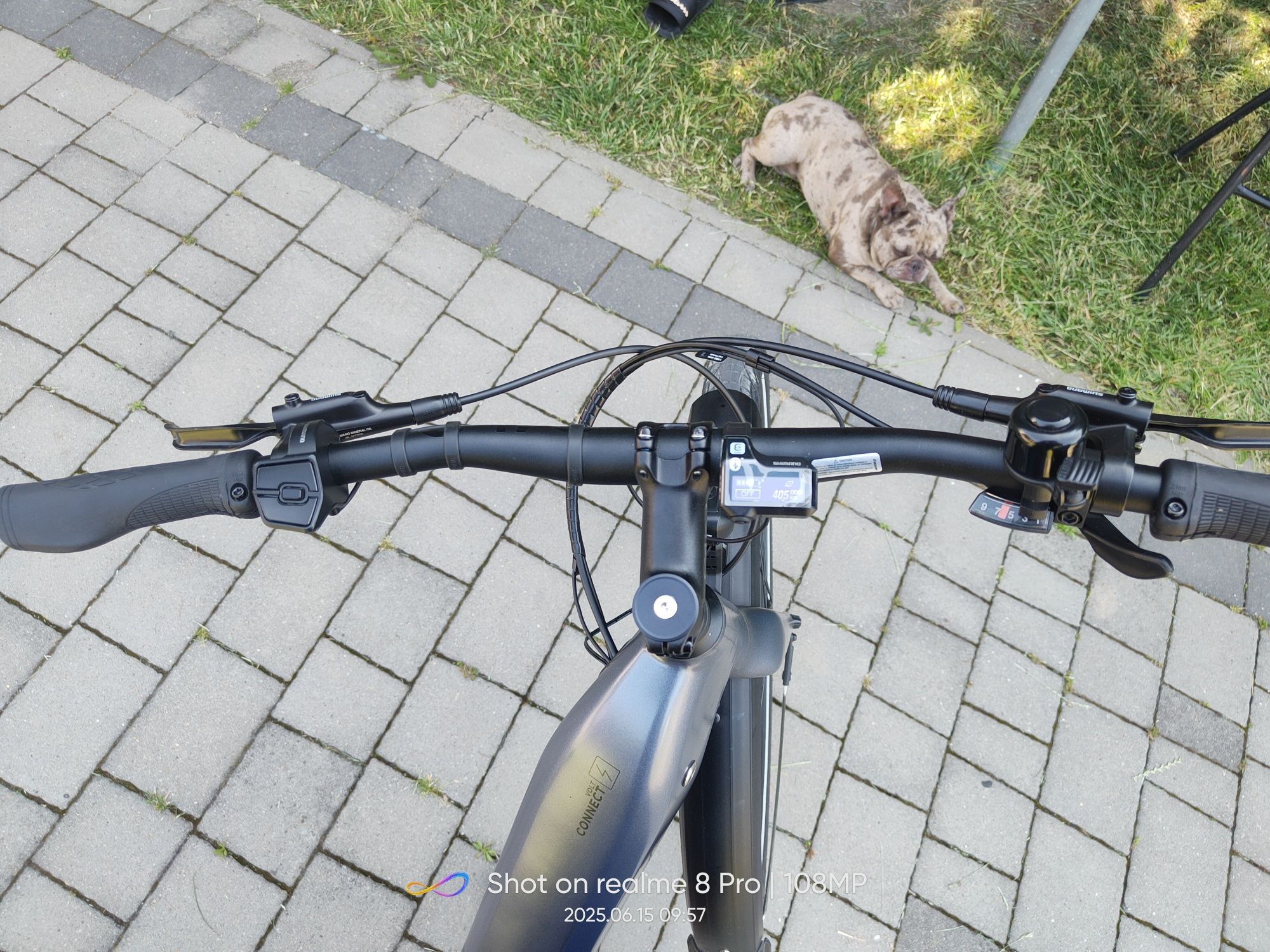 Rower diamant EE Hybrid elektryk