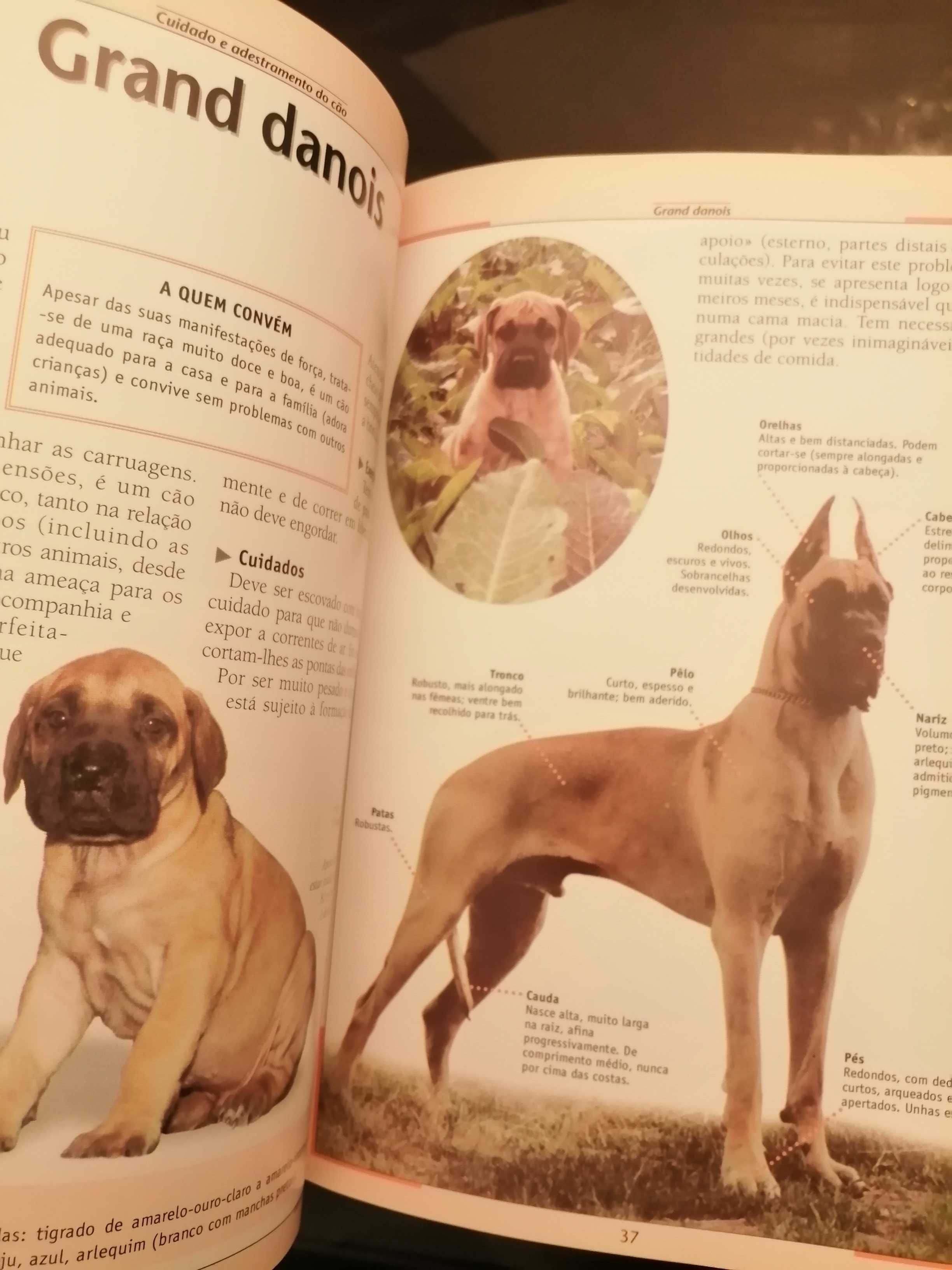 3 livros sobre cães e gatos