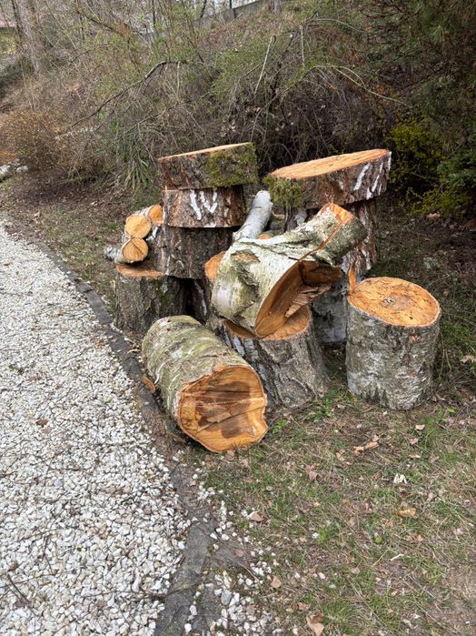 drewno opałowe pocięte