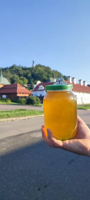 Соняшниковий МЕД 2025