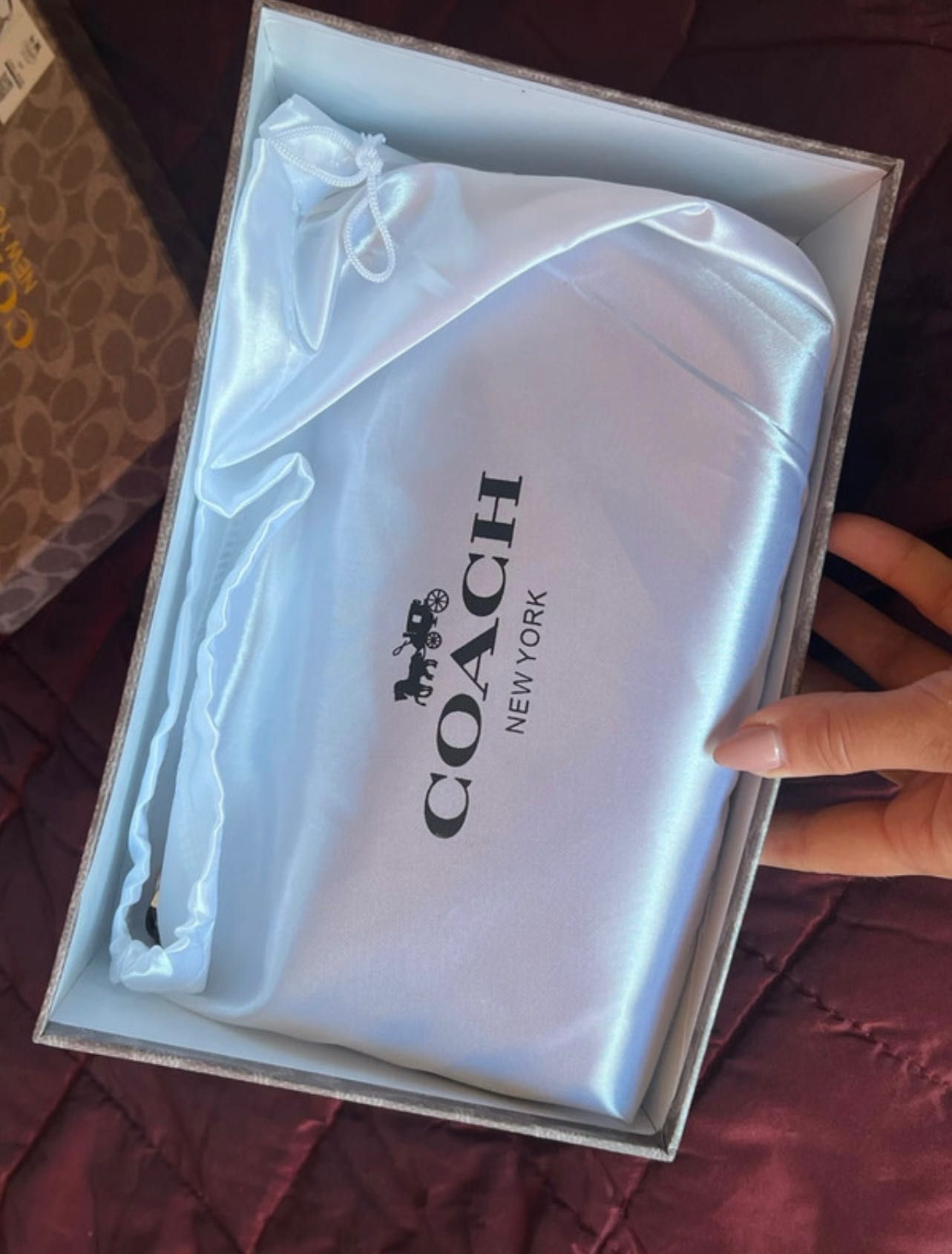 Bolsa Coach femenina