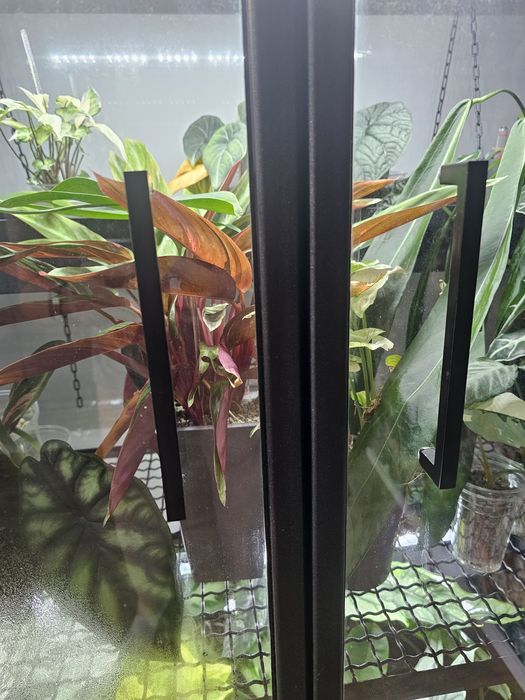 Witryna dla roslin Rowdcrafts robiona na zamówienie loft szklarnia