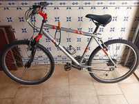 Bicicleta adulto impecável