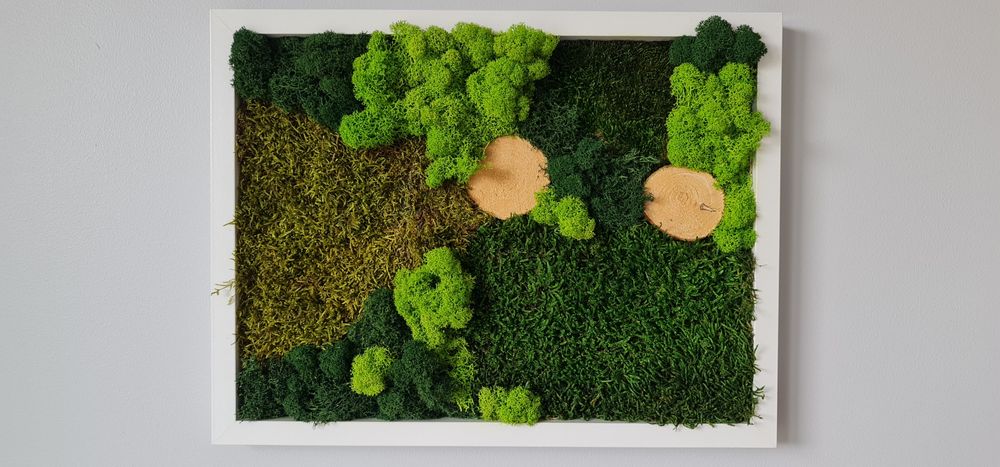 Dekoracja, obraz mech chrobotek