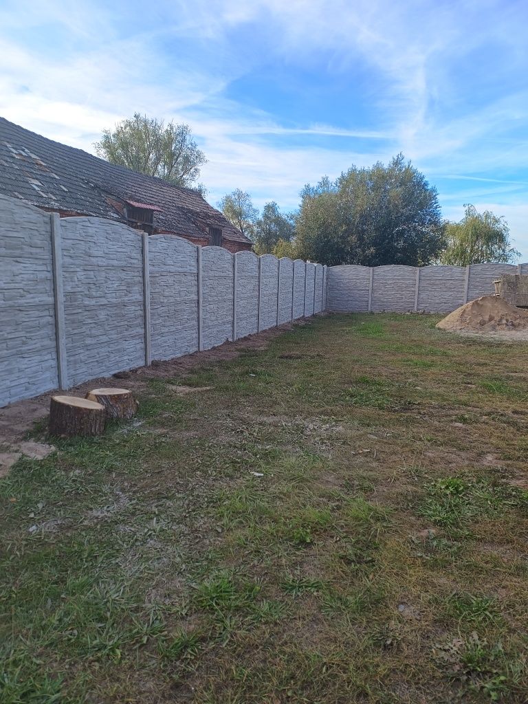 Montaż i malowanie płotów betonowych