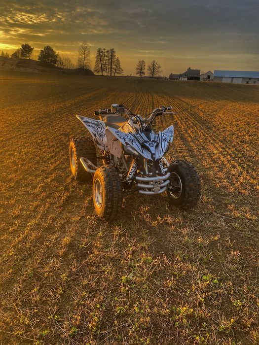Yamaha raptor 250