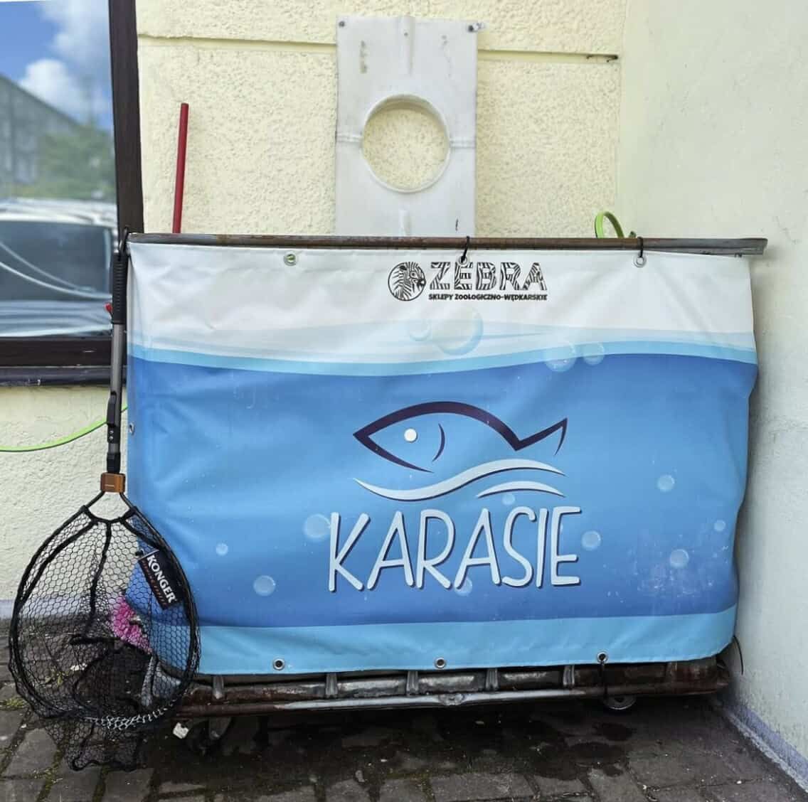 Karasie hodowlane