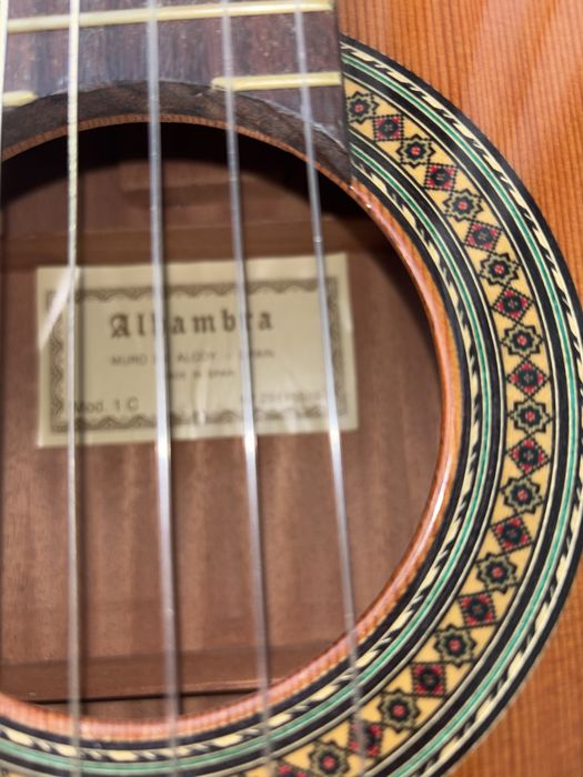 Viola Alhambra com bolsa