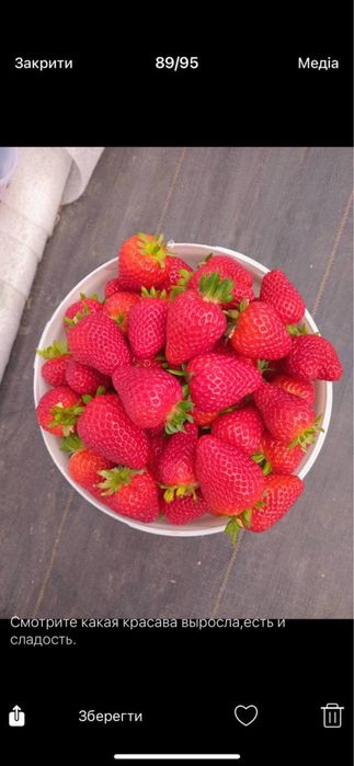 Технологічне тепличне господарство