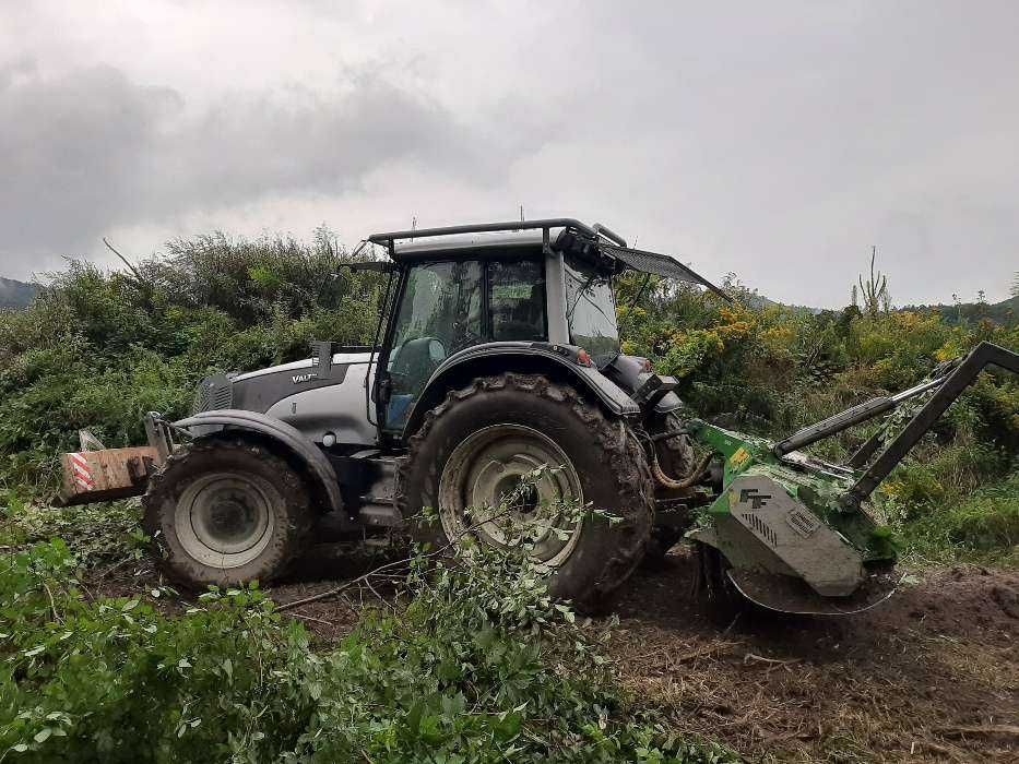 Mulczer Karczowanie Czyszczenie terenu działki Rekultywacja Wycinanie