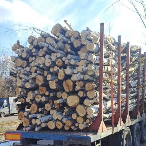 Дрова кругляк 2м сосна, береза, вільха