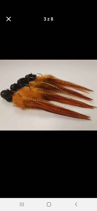 Koguty sandaczowe II