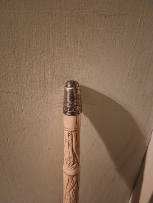 Палка трость костяная.