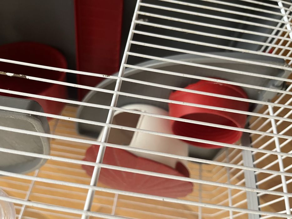 Gaiola para hamster com acessórios de oferta!
