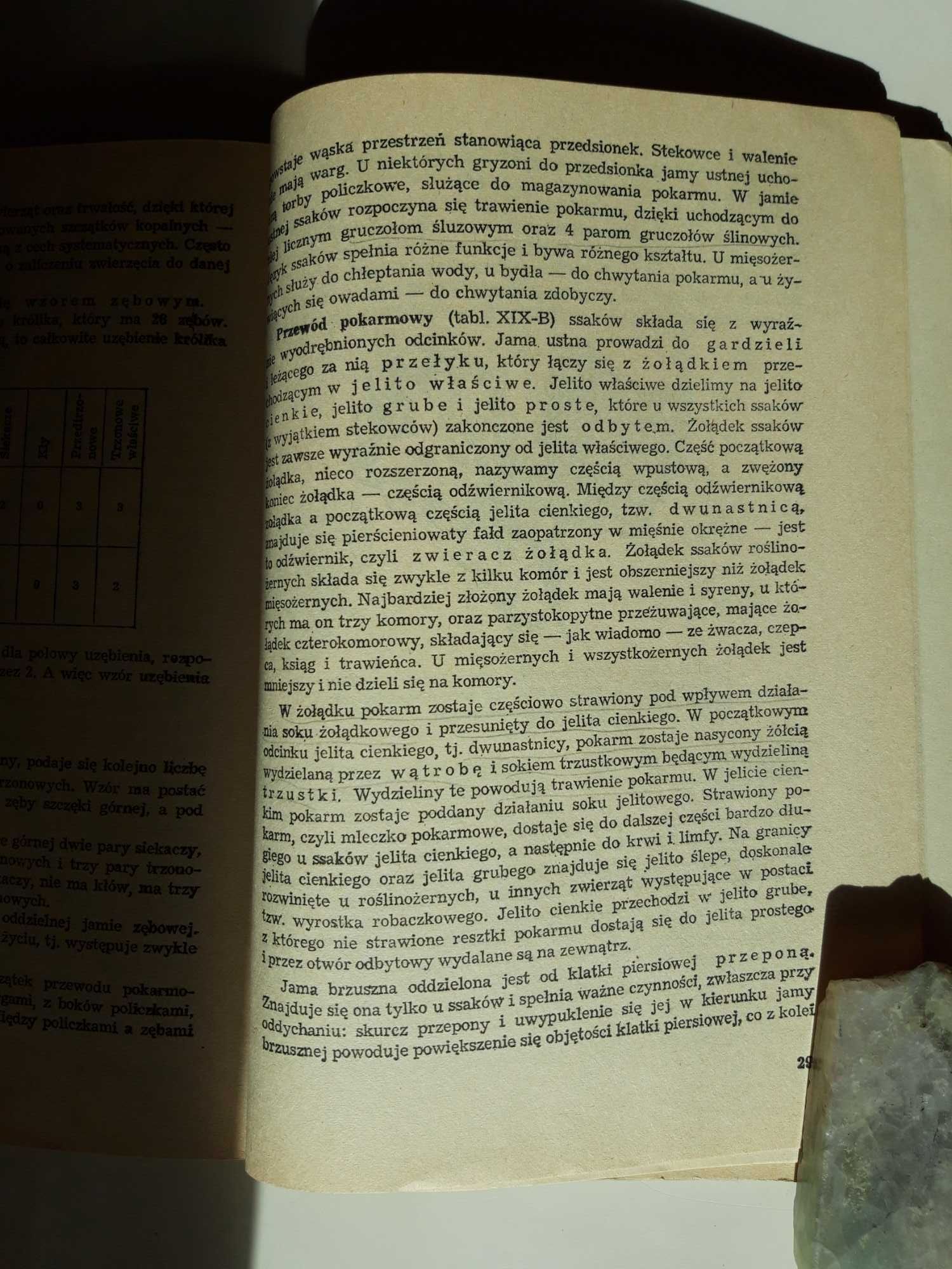Zoologia. Podręcznik dla techników rolniczych. J.Dąbski i inni.