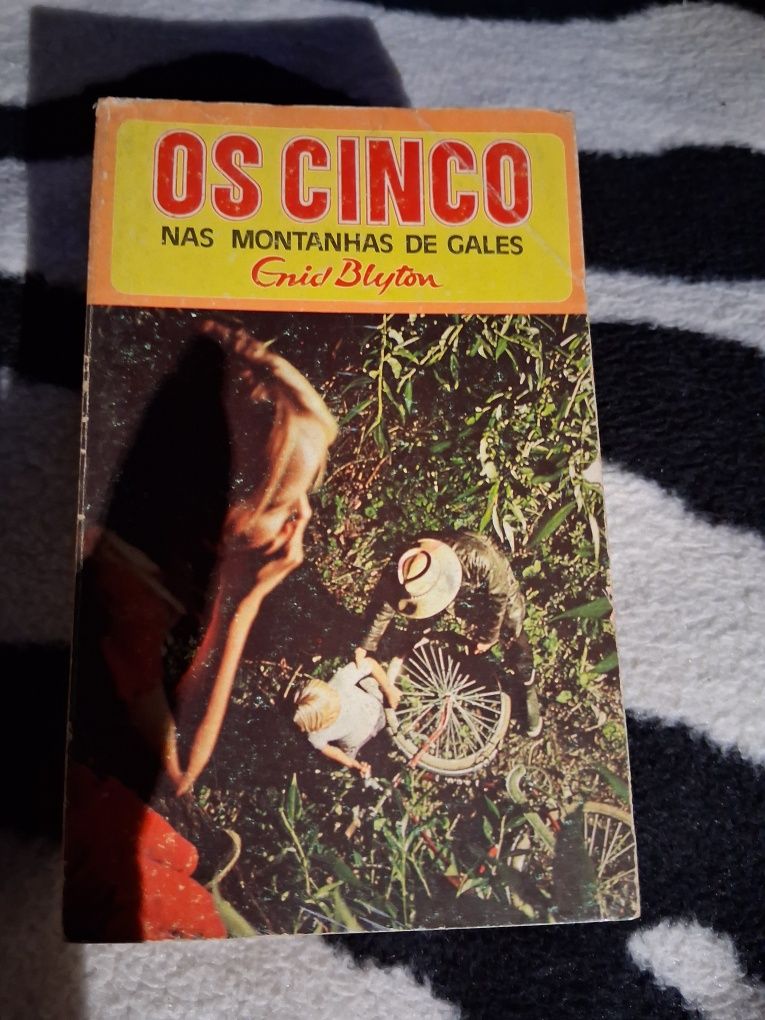 Livros Juvenis Os Cinco
