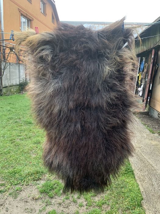 робоча тема в авто чиив хату