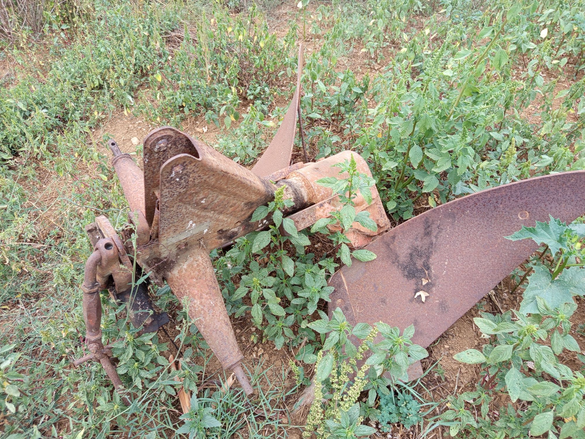 Charrua Galucho de 12 "