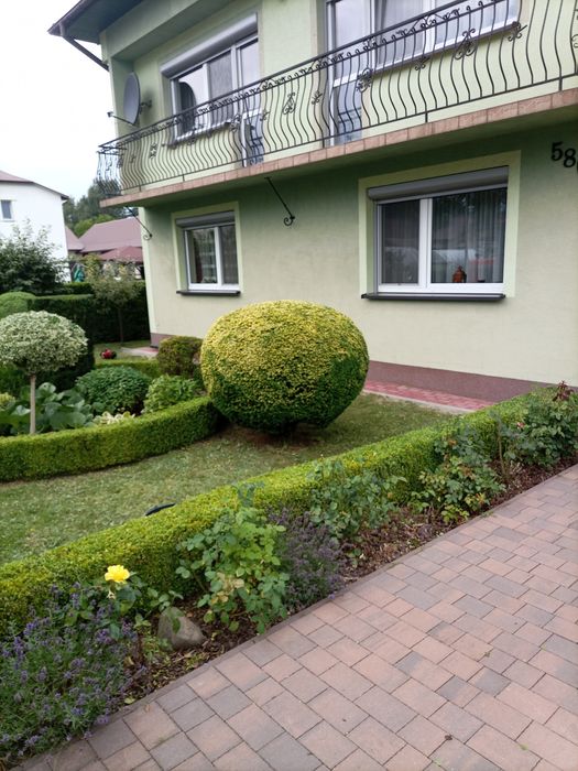 Pielęgnacja ogrodów