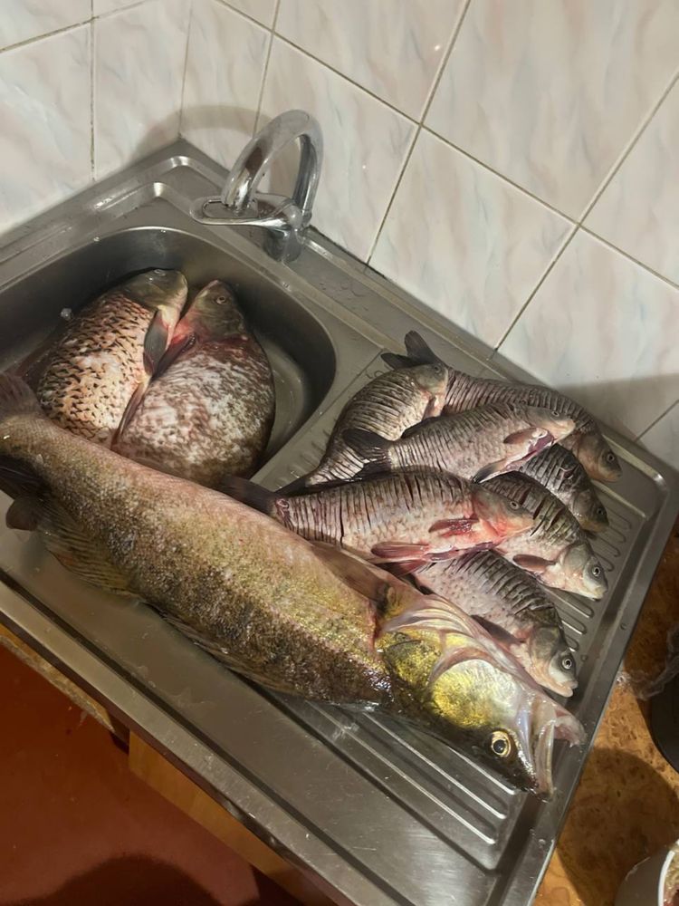 Продаж під замовленя свіжої риби.
