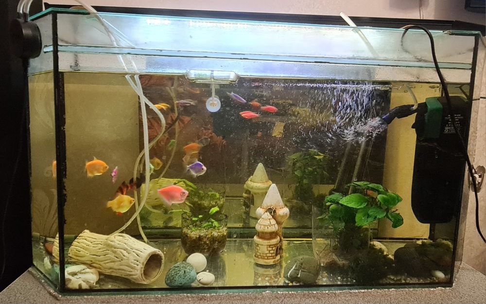Продам б/у аквариум с рыбками и фильтром