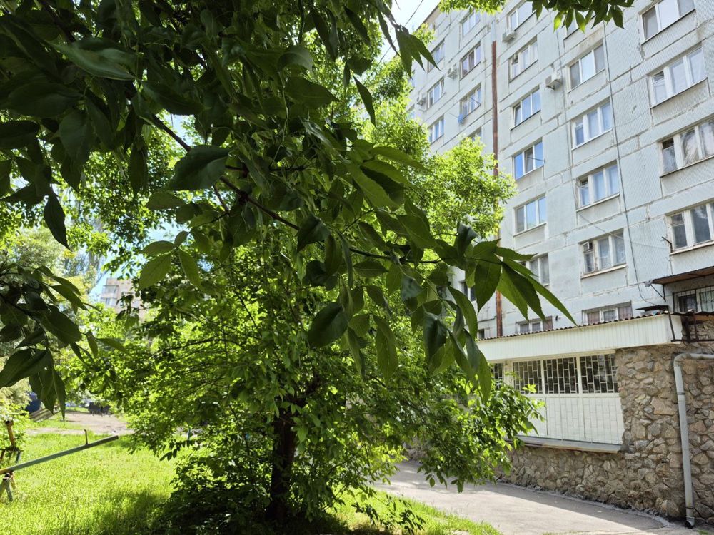 Продам кімнату, гуртожиток, Космос! AN