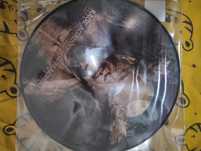 Rage Against the Machine Picture Disc - LP novo