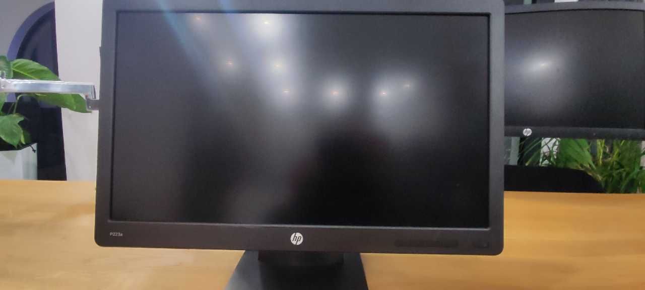 Monitor HP Pro Display P 222va