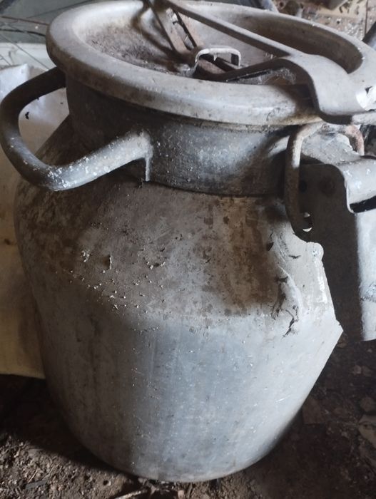 Молочные бедоны продам