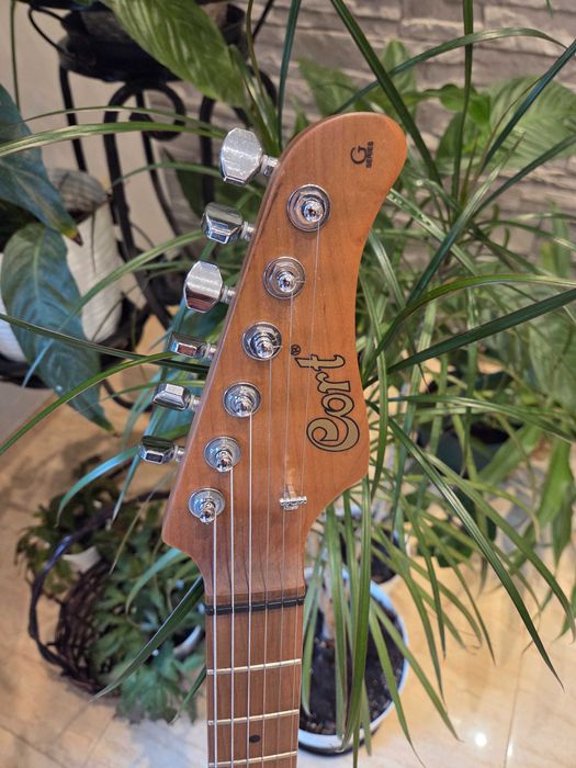 Cort G290 Fat II TBB