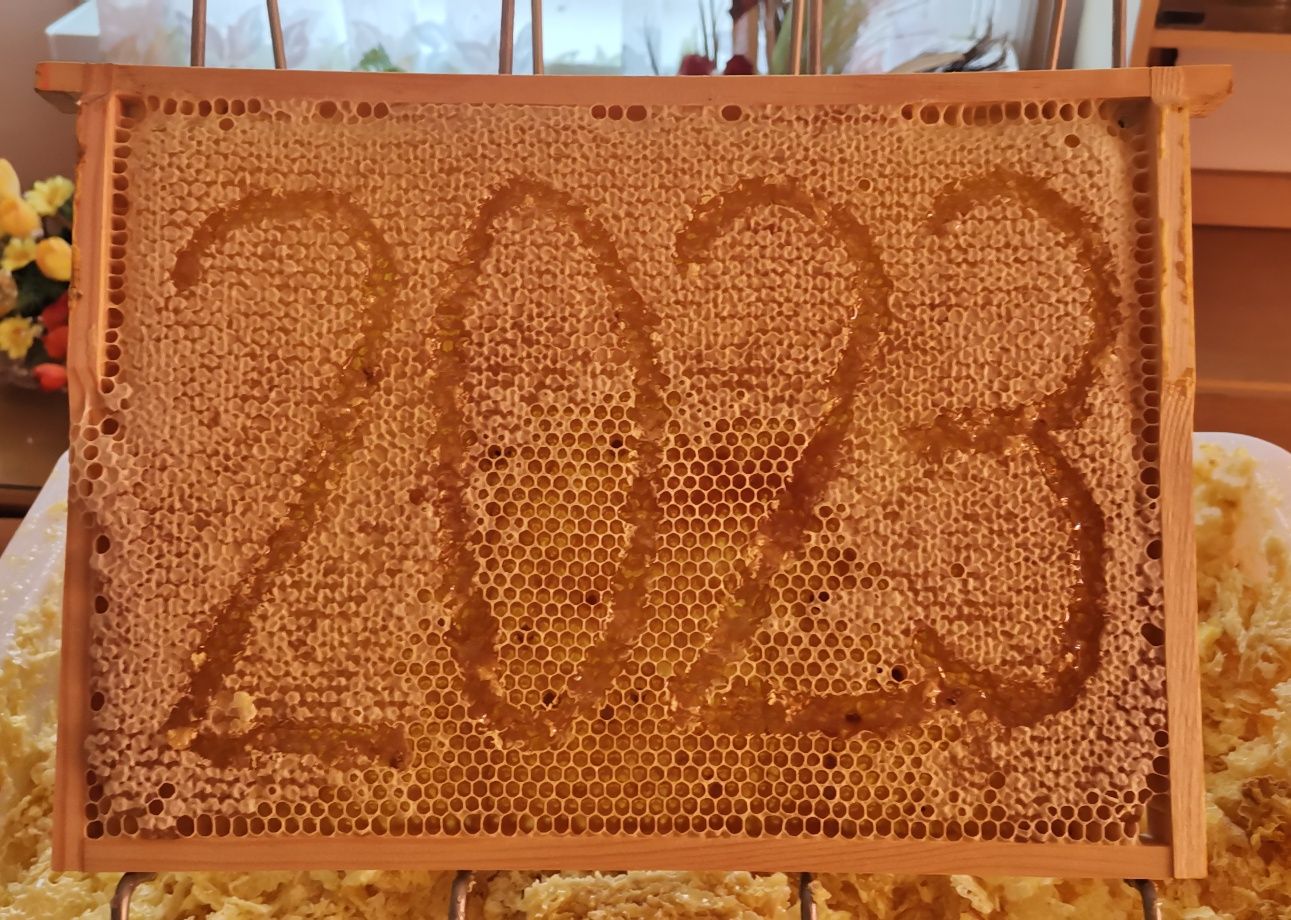 Miód pszczeli tegoroczny