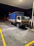 Bedford nkr 3.3 transporte de animais vivos