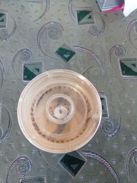 Продам советскую электро мясорубку
