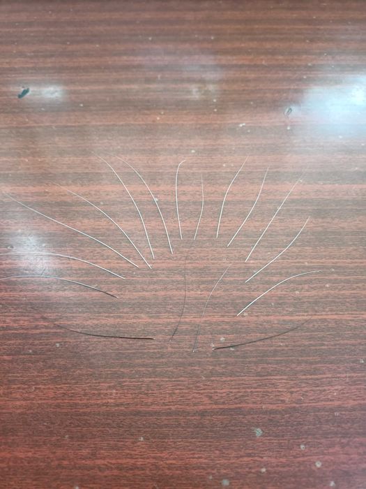 Усы кошачьи вибриссы 17 шт