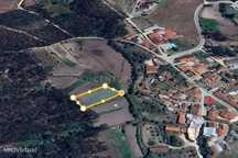 Terreno Rústico em Coimbra - Oportunidade Única por 2900€