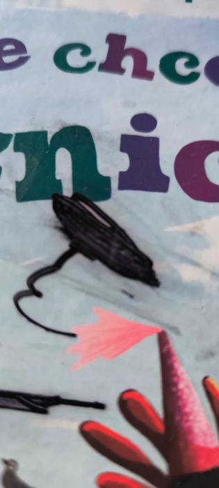 Książka picture book Ja nie chcę być księżniczką