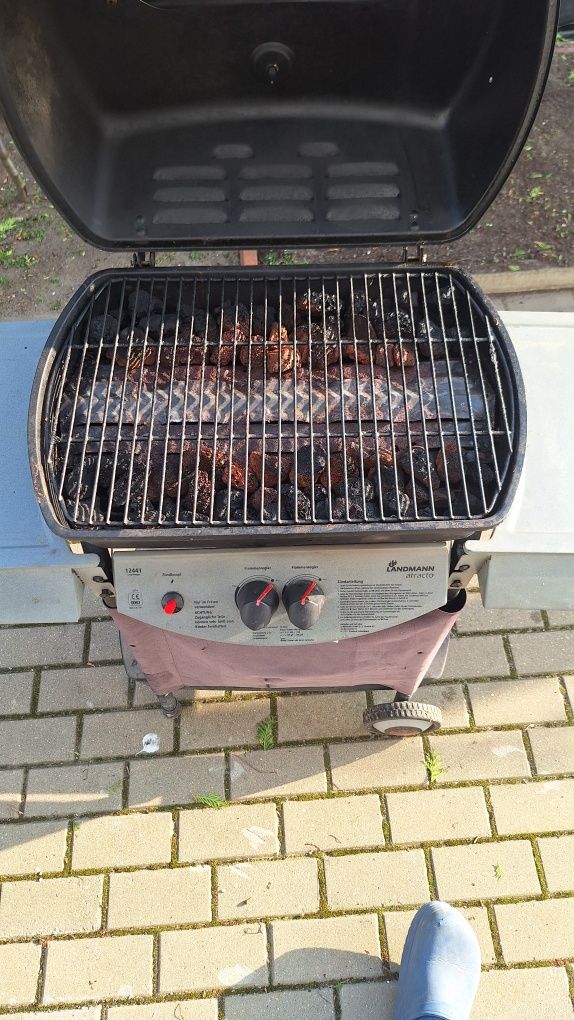 Grill gazowy Landman  12441  - 7 kW
