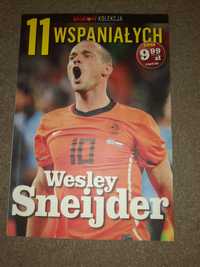 11 wspaniałych Wesley Sneijder