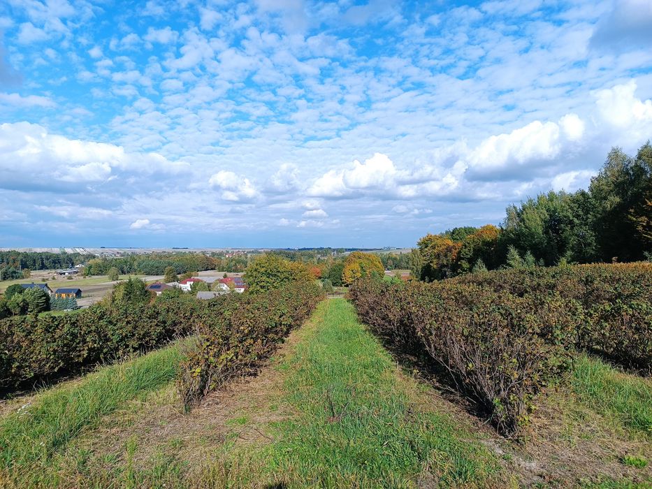 Działka budowlana/rekreacyjna