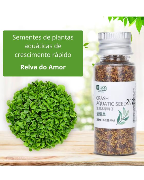 Sementes para aquario