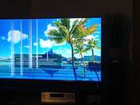 LG 65 " telewizor  ma uszkodzony ekran