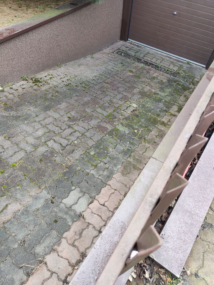 Mycie, malowanie elewacji, kostki brukowej, dachów. CLEANUP