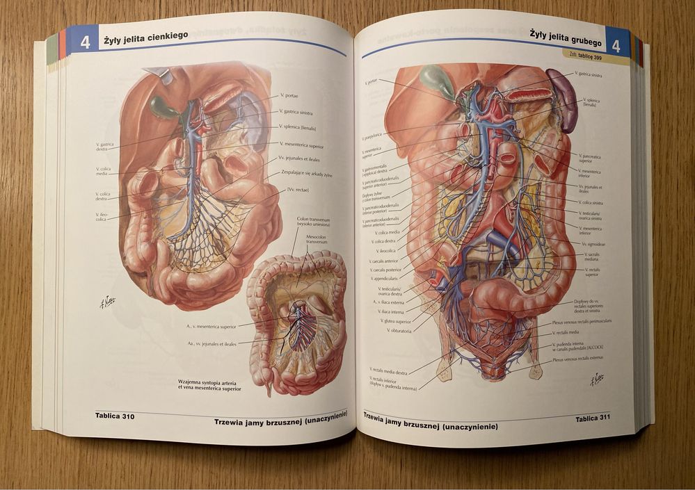 Atlas anatomii człowieka, F.H. Netter (wydanie polskie II)