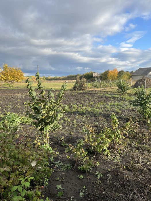 Продаж приватного будинку