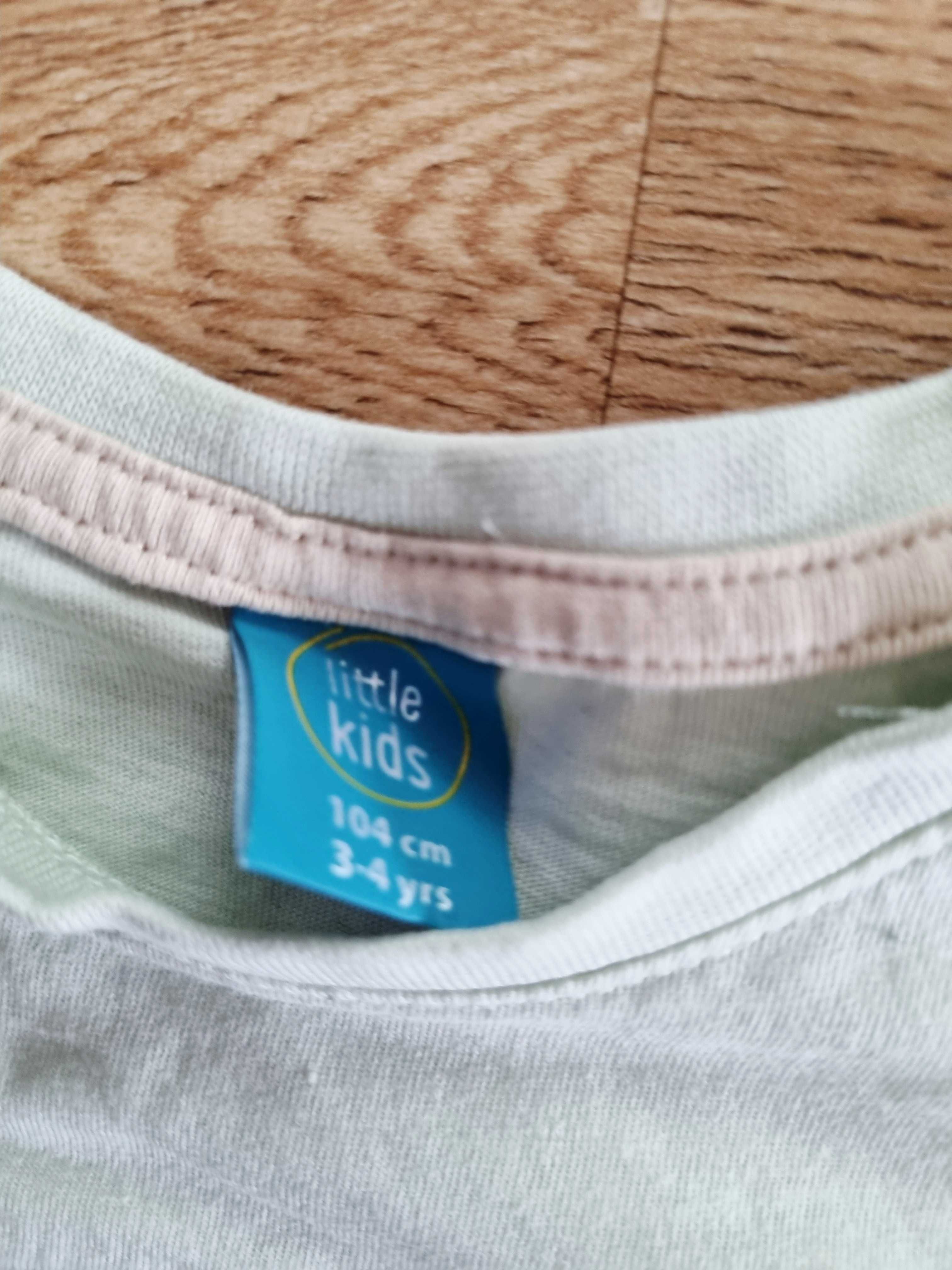 Koszulka t-shirt z krótkim rękawem zielona miętowa z tygrysem 104