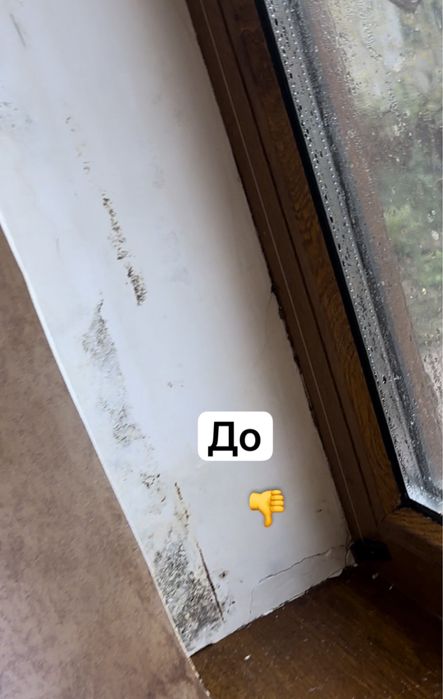 Дезинфекция от запаха - Травля насекомых , клопы , озон , плесень !