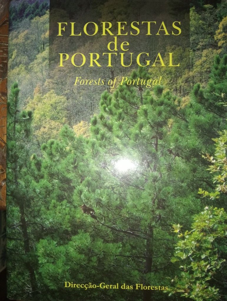 Florestas de Portugal