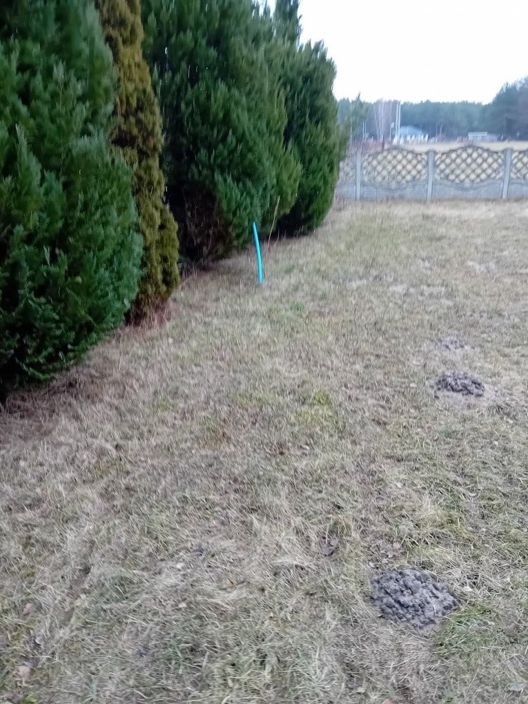 Działka na sprzedaż Kolonia Brzeźce