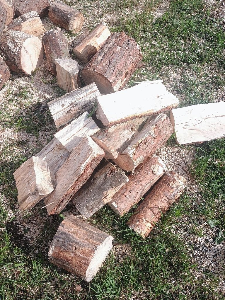 Sprzedam Drewno Opałowe Sosna
